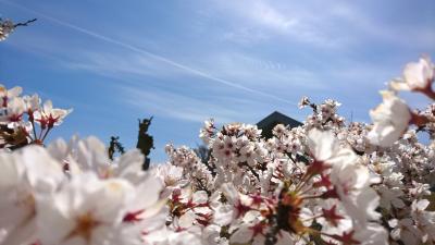 彫刻と桜の画像