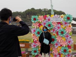 お花と写真撮影