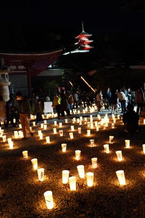 お寺の境内を照らす灯り