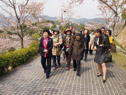 千光寺公園見学