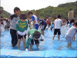 いろんな魚に興味津々