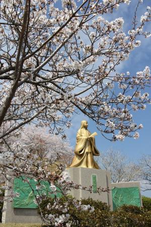 紫式部の像と桜