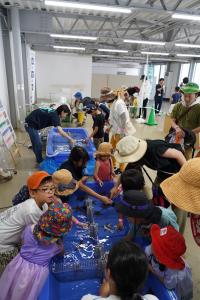 海の生き物と触れ合う子供たちの様子