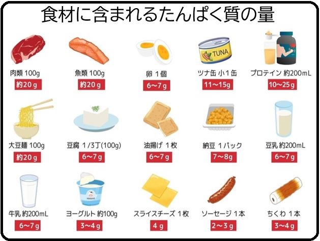 食材に含まれるたんぱく質の量