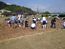 みなさんご協力ありがとうございました。