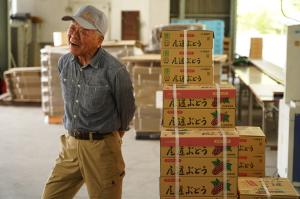 積み上げたブドウの箱の前で笑う生産者の写真