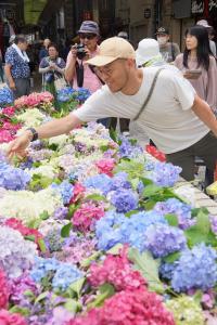 アジサイを献花する男性の写真