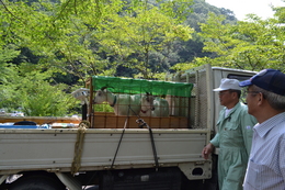 県立総合技術研究所畜産技術センター（庄原市）からやってきました。