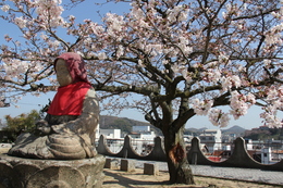 宝土寺にて。