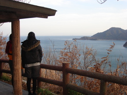 椋浦峠登り口付近の景色
