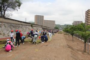 作業はじめたばかりの様子