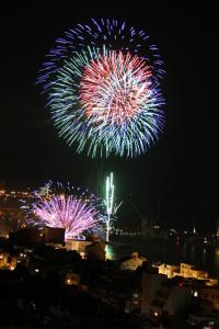 華やかな花火が尾道の夜空を彩りました。