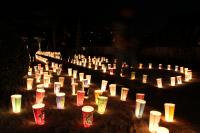 ぼんぼりで照らされた境内